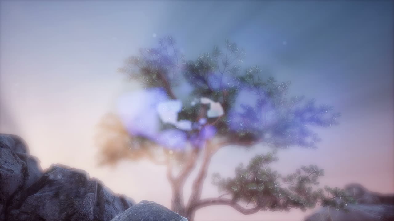 나무들을 가로지르는  ⁇ 빛