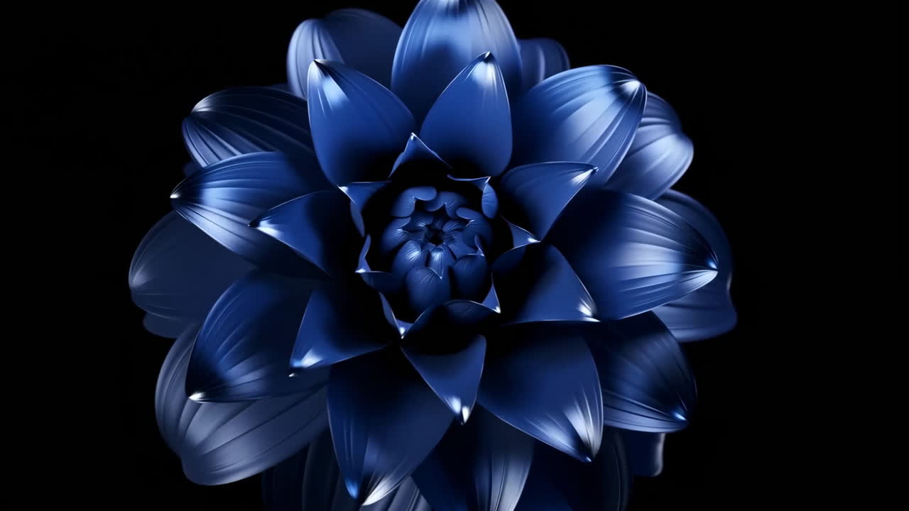 Close-up of a Blue Flower on a Dark Background