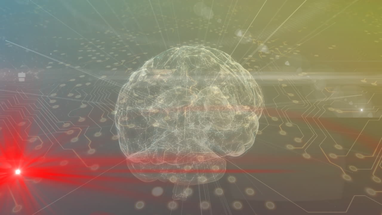 연결의 애니메이션과 뇌를 통해 데이터 처리