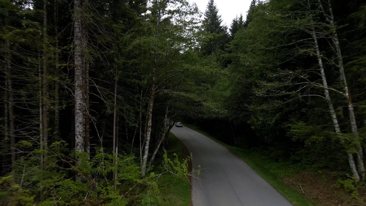 siguiendo un todoterreno solitario que conduce a través de un oscuro camino forestal de hoja perenne, una plataforma rodante aérea