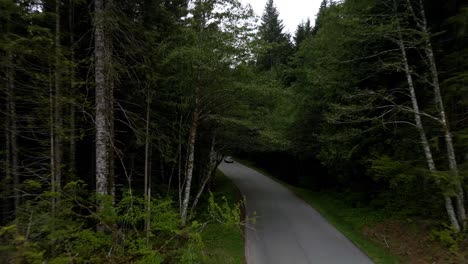following a lone suv driving through a dark evergreen forest road, aerial dolly
