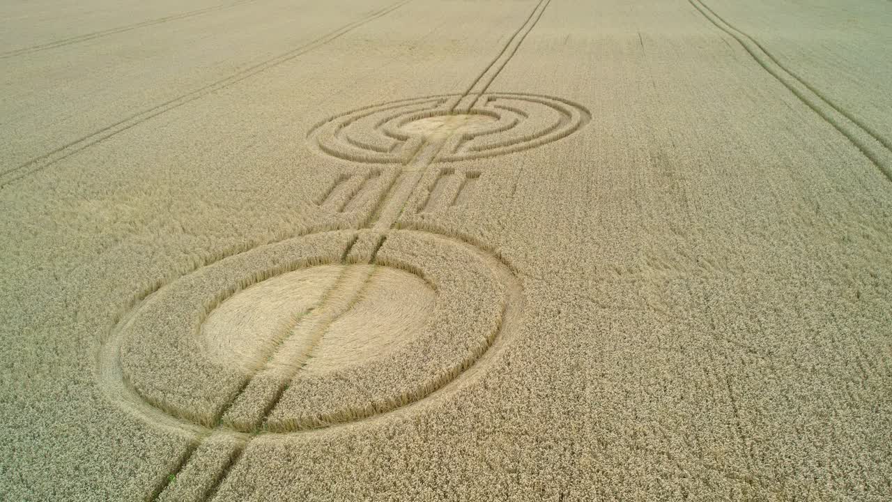 이상한 sydmonton 농촌 밀밭 시골 미스터리 서클 농지 공중 저궤도 오른쪽보기