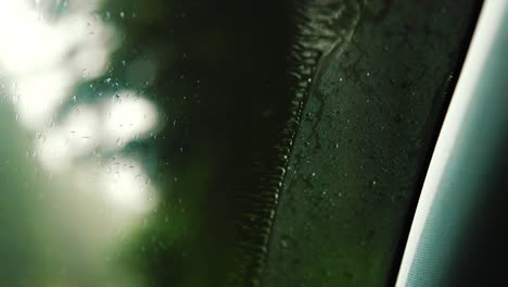 close-up of windshield wiper blades keeping the rain off the window where the water beads at the edge where the blade travel ends