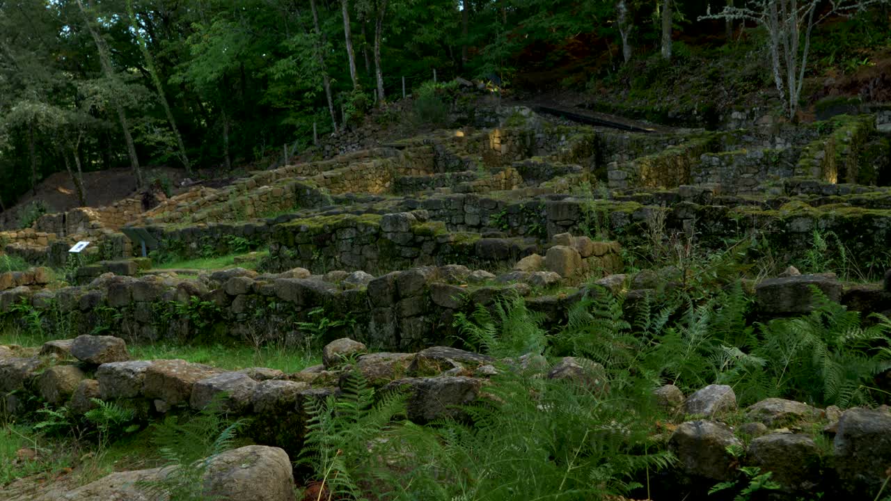 Antiche Rovine in Pietra Invase dalla Natura