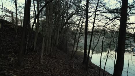 aerial view of a walking trail and lake lanier in cumming, georgia