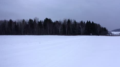 drone moving over a forest and revealing the saint-lawrence river in winter in charlevoix