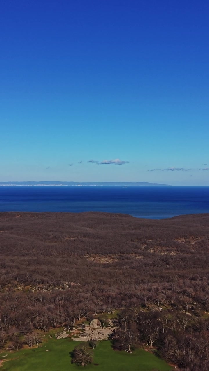 Vista della costa con foresta e mare durante una giornata limpida