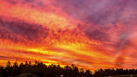 lapso de tiempo de nubes voladoras en el cielo de color naranja y dorado durante la hora dorada de la mañana