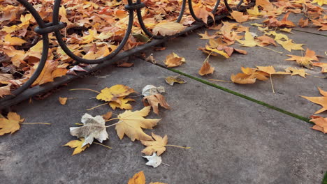 magnificent autumn colors