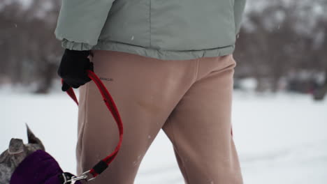 close-up of back view of woman in padded gray winter coat with hood standing outdoors in snowy urban environment, hair visible over shoulder, muted background of parked cars and buildings