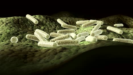 microscopic 3d animation of bacteria on a surface, 360 degree loop video