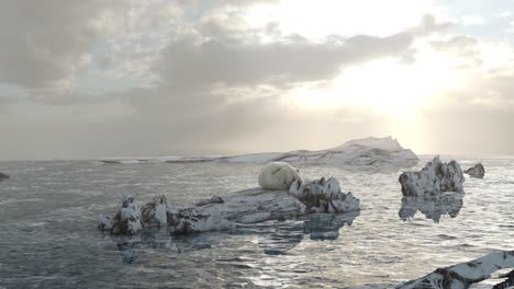 polar bear on melting ice