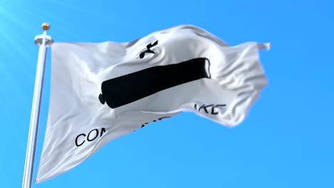 texas flag—come and take it. loop