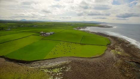 Beautiful-view-of-sea-coast-4k