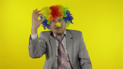 anciano payaso hombre de negocios empresario jefe en peluca muestra signo ok