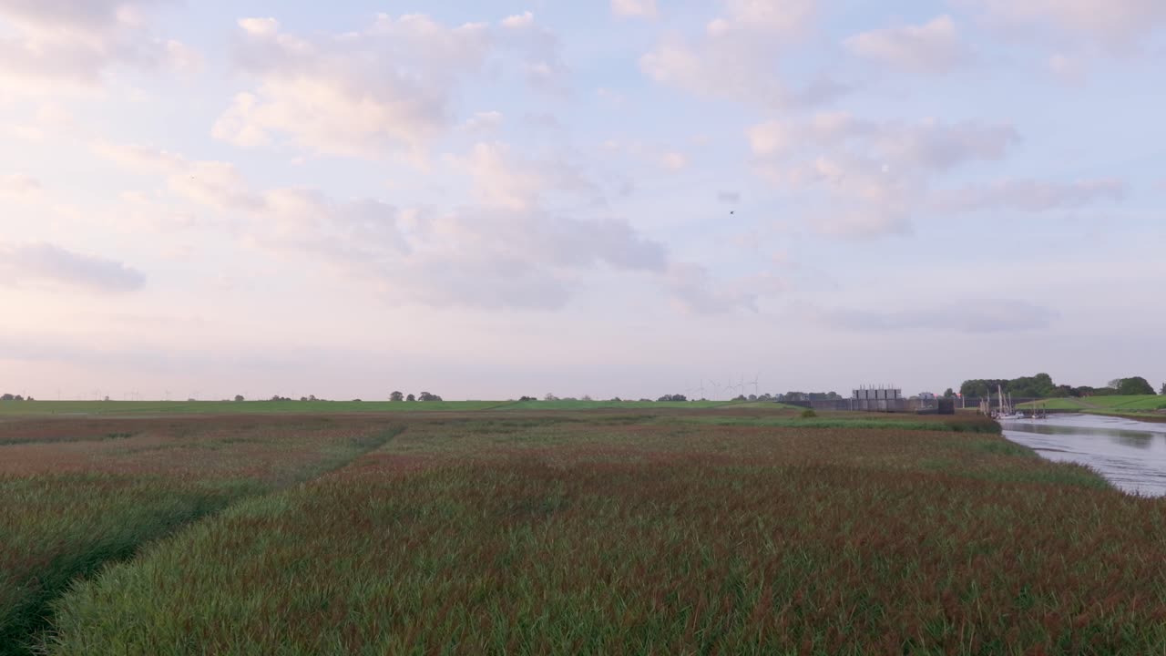 Vast Reed Field and River Landscape with Distant Wind Turbines