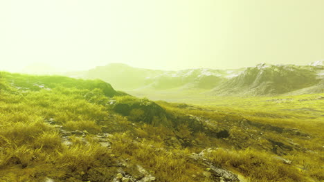 Expansive alien landscape with vibrant greenery under a yellow sky