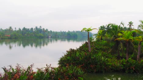 scenic beauty of backwater lake with nature green background