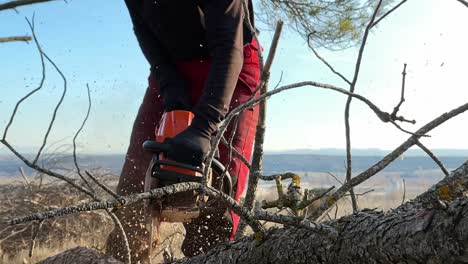 Sägefrau-Arbeitet-Mit-Einem-Helm-Und-Einem-Transparenten-Visier-In-Einem-Europäischen-Wald