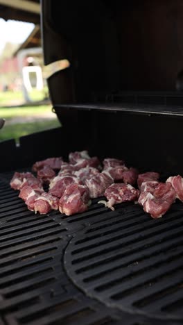 grilling cubed pork