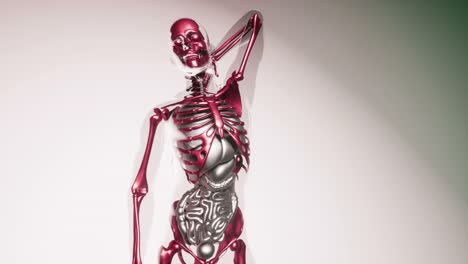 Human-Skeleton-Bones-Model-with-Organs