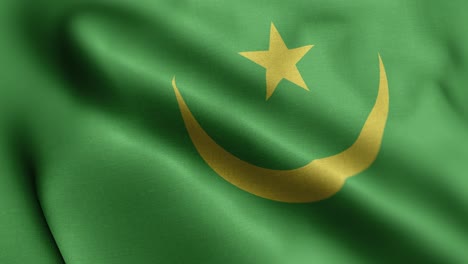 flag of mauritania - mauritania flag high detail - national flag mauritania wave pattern loopable elements - high resolution and high detailed fabric texture and endless loop stock video