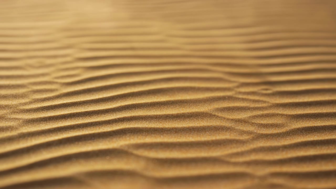 Goldener Sand wellt sich über windgeformte Dünen, Nahaufnahme eines körnigen Musters mit warmen Tönen und weichem Fokus.