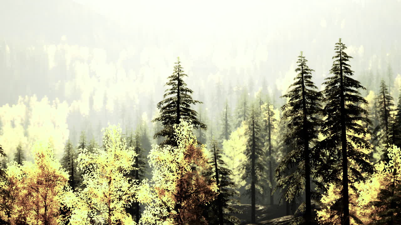 Forest landscape with autumn foliage and misty mountain backdrop in soft light