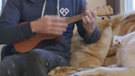 medium close shot of a man with painted pants and his dog while he is playing ukulele