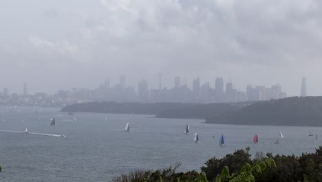 immerse yourself in the captivating allure of sydney as the cityscape emerges through the mist on a cloudy day