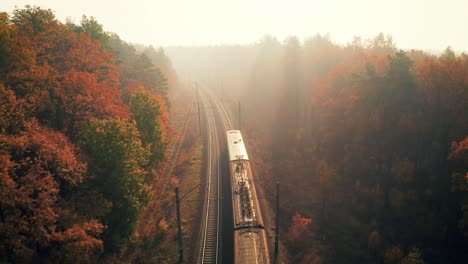 freight train in beautiful forest in fog at sunrise in autumn. aerial view of moving train with wagons with goods in fall. industrial. top view of railroad, foggy trees, orange leaves. railway station