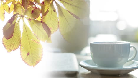 animation of light spots over autumn leaves and cup of coffee