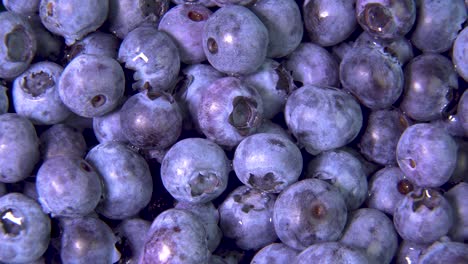 close up rotate blueberries.