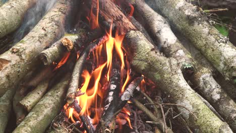 during the hike, a bonfire in nature