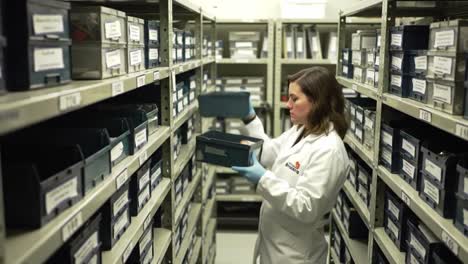a person in a white lab coat and blue gloves is meticulously organizing boxes in a storage facility dedicated to preserving archival materials.