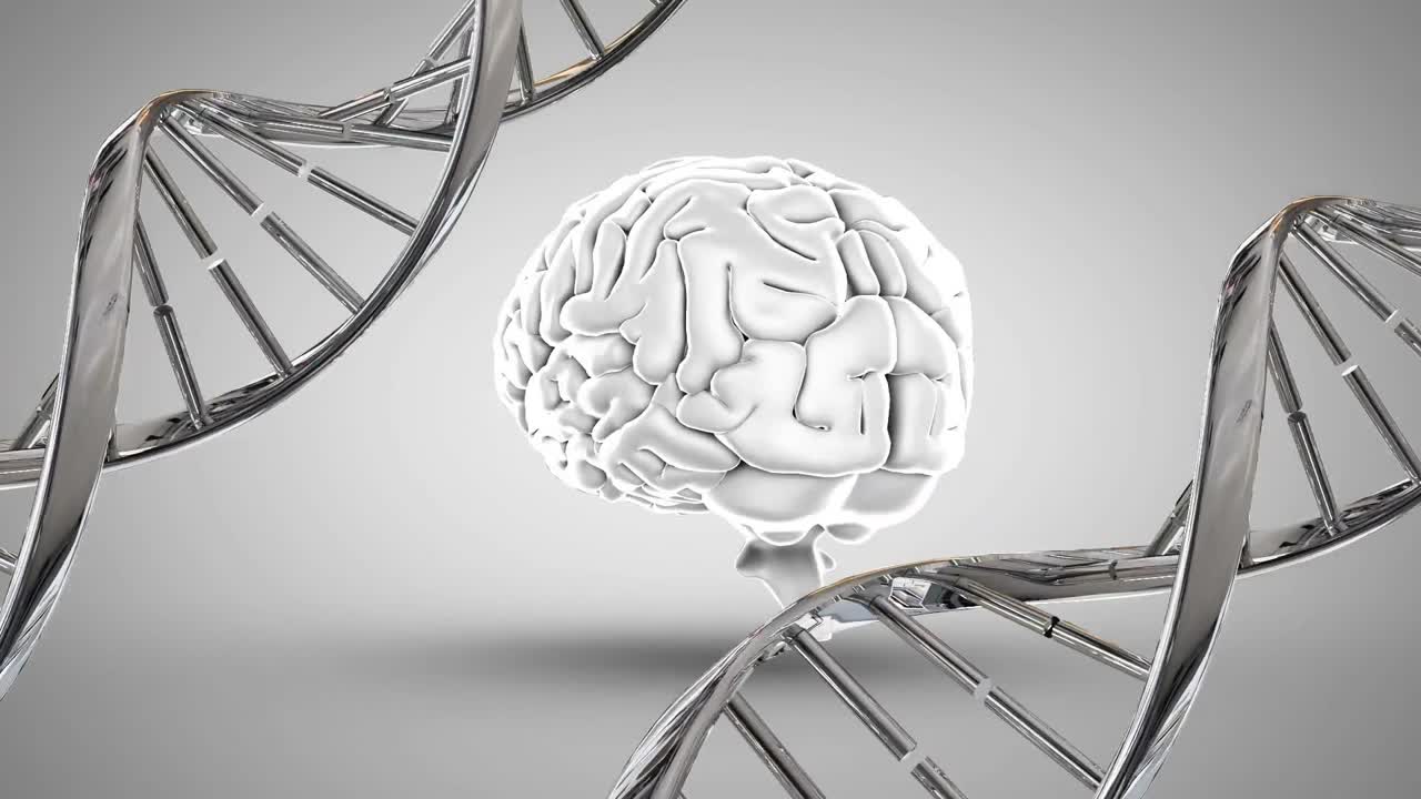 Human brain and DNA