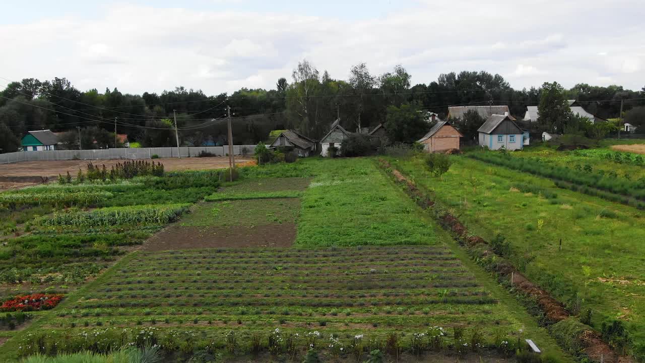Aerial View of a Garden With Diverse Crops on a Summer Day