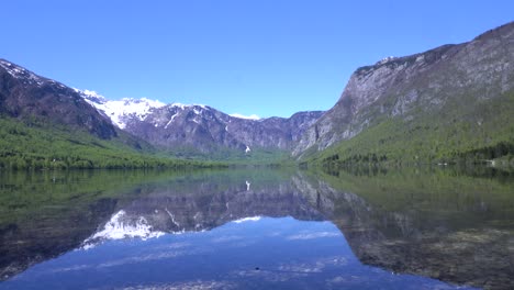 Lago-Bohinj-En-Un-Hermoso-Día-Soleado-En-Eslovenia