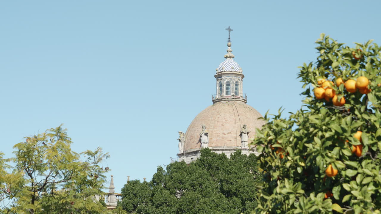 Dome of Jerez Cathedral against blue sky, tangerine tree on right, Spain. Handheld