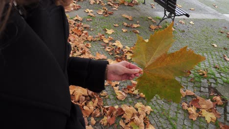 girl grabbing a autumn leaf, 4k