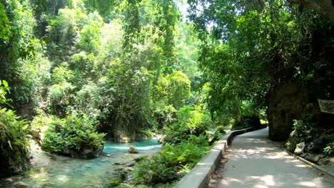 carretera de hormigón en la orilla del río en la selva, cataratas kawasan, filipinas