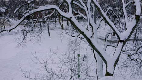 drone flying over a snow covered tree revealing montreal in winter