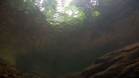 El-Parque-Nacional-Kaeng-Krachan-Es-El-Hogar-De-Muchos-Animales-Salvajes-Fantásticos-Y-Los-Arroyos-Son-Una-Fuente-De-Vida-De-Agua-Dulce-Para-Que-Los-Animales-Beban-Y-Los-Peces-Naden.