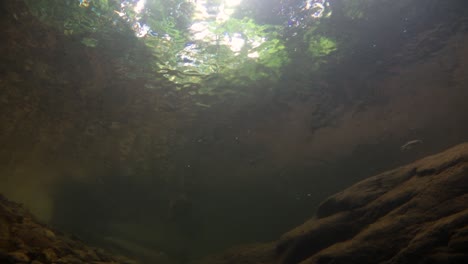 el parque nacional kaeng krachan es el hogar de muchos animales salvajes fantásticos y los arroyos son una fuente de vida de agua dulce para que los animales beban y los peces naden.