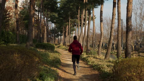 가을 에 공원 길 을 달리는 사람 의 뒷면 - 추적