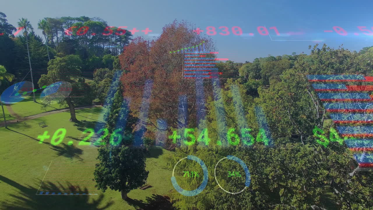 Processing financial data animation over lush green park landscape