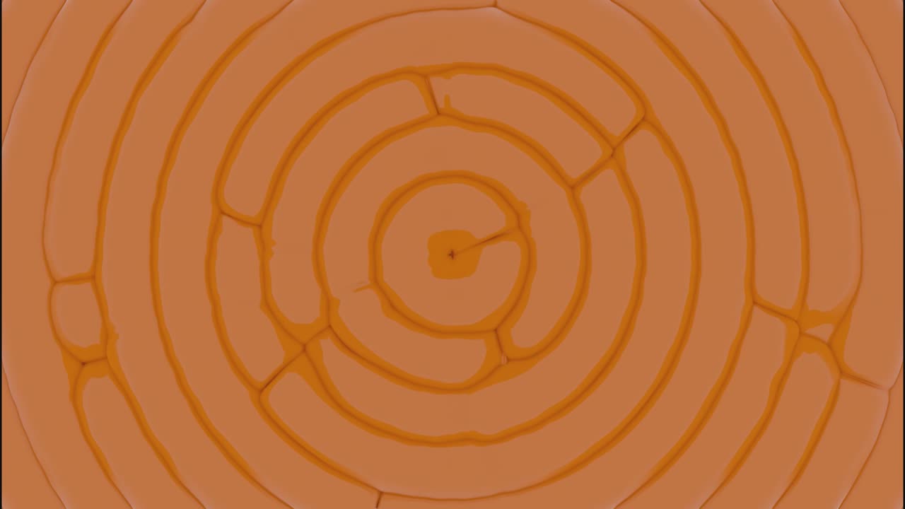 Abstract Orange Circular Pattern