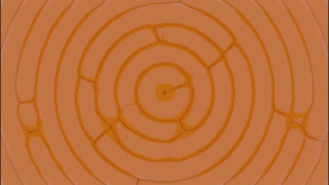 abstract orange circular pattern