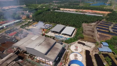 aerial - malaysia's palm oil factory