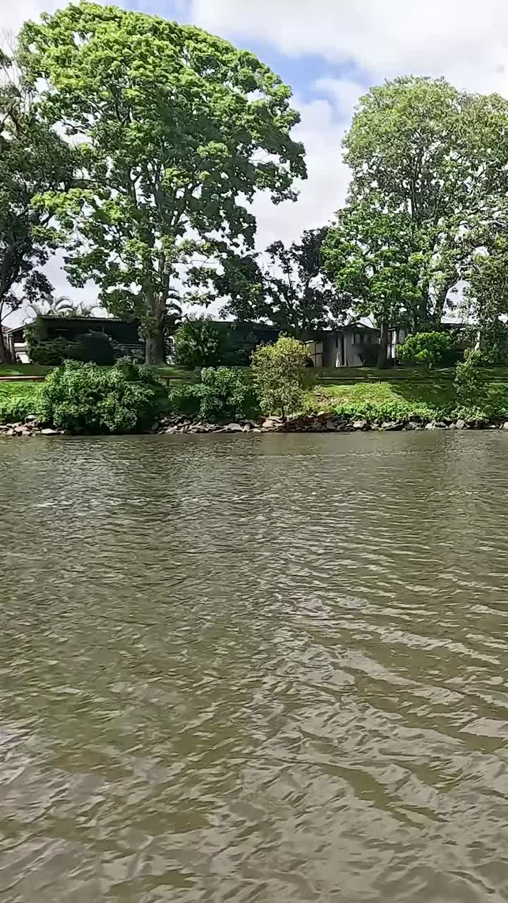 jet ski acelerando a lo largo de la pintoresca orilla del río